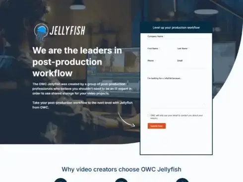 Jellyfish